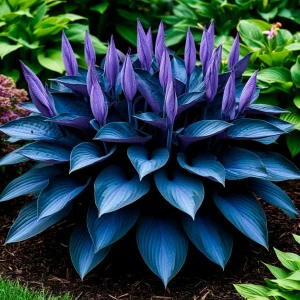 Хоста Сикрет Гров купить по цене от 570р. в интернет-магазине «Посадика» с доставкой почтой в в Якутске и по всей России – [изображение №1].