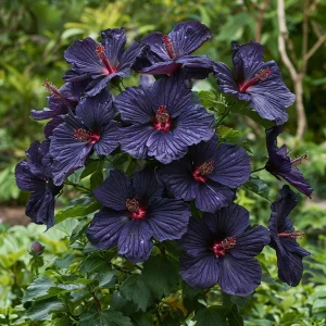 Гибискус Мэджик Момент купить по цене от 699р. в интернет-магазине «Посадика» с доставкой почтой в в Якутске и по всей России – [изображение №1].