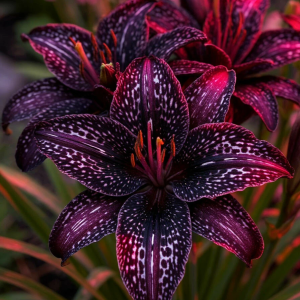 Лилейник Вояж купить по цене от 699р. в интернет-магазине «Посадика» с доставкой почтой в в Якутске и по всей России – [изображение №1].